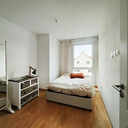 Spacieux Lumineux 科尔马