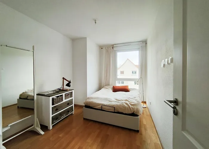 Spacieux Lumineux Colmar